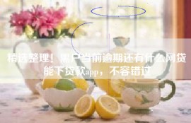 精选整理！黑户当前逾期还有什么网贷能下贷款app，不容错过