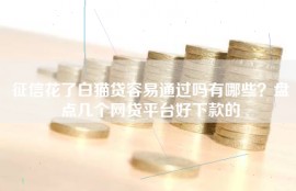 征信花了白猫贷容易通过吗有哪些？盘点几个网贷平台好下款的