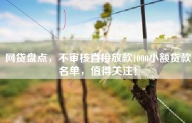 网贷盘点，不审核直接放款1000小额贷款名单，值得关注！