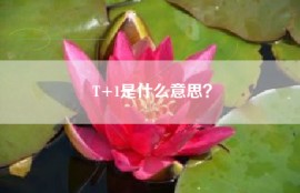 T+1是什么意思？