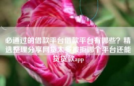必通过的借款平台借款平台有哪些？精选整理分享网贷太多被拒哪个平台还能贷贷款app