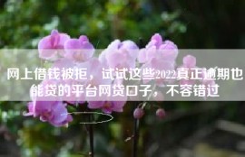网上借钱被拒，试试这些2022真正逾期也能贷的平台网贷口子，不容错过