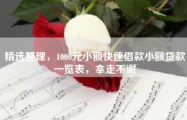 精选整理，1000元小额快速借款小额贷款一览表，拿走不谢