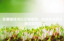 在哪借钱可以立刻借到，有靠谱点的小额贷款吗？