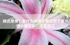 精选整理！有什么网贷不看征信不看负债小额贷款，不容错过