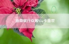 浙商银行众筹Visa卡面世