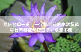 网贷名单一览，一定借到钱的小额贷款平台有哪些网贷口子，拿走不谢