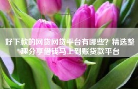 好下款的网贷网贷平台有哪些？精选整理分享借钱马上到账贷款平台