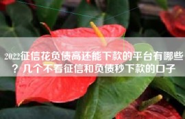 2022征信花负债高还能下款的平台有哪些？几个不看征信和负债秒下款的口子