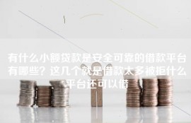 有什么小额贷款是安全可靠的借款平台有哪些？这几个就是借款太多被拒什么平台还可以借