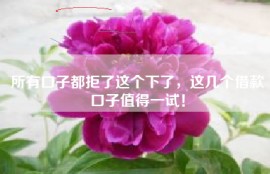 所有口子都拒了这个下了，这几个借款口子值得一试！