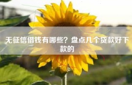 无征信借钱有哪些？盘点几个贷款好下款的