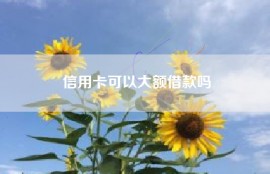 信用卡可以大额借款吗