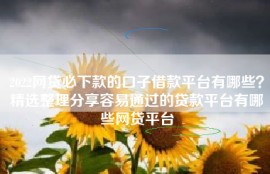 2022网贷必下款的口子借款平台有哪些？精选整理分享容易通过的贷款平台有哪些网贷平台