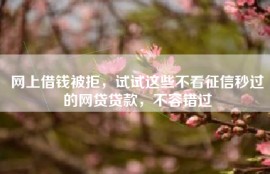 网上借钱被拒，试试这些不看征信秒过的网贷贷款，不容错过
