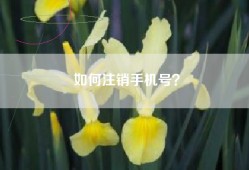 如何注销手机号？