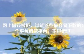 网上借钱被拒，试试这些最容易下款的7个平台借款平台，不容错过