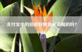 支付宝中的招联好期贷是正规的吗？