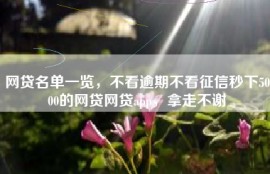网贷名单一览，不看逾期不看征信秒下5000的网贷网贷app，拿走不谢