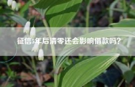 征信5年后清零还会影响借款吗？