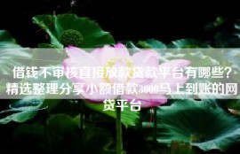 借钱不审核直接放款贷款平台有哪些？精选整理分享小额借款3000马上到账的网贷平台