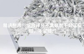 精选整理！综合评分不足居然下款了贷款，不容错过