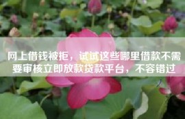 网上借钱被拒，试试这些哪里借款不需要审核立即放款贷款平台，不容错过