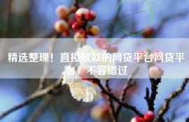 精选整理！直接放款的网贷平台网贷平台，不容错过