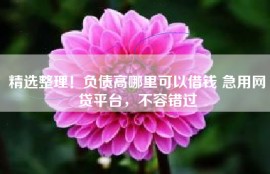 精选整理！负债高哪里可以借钱 急用网贷平台，不容错过