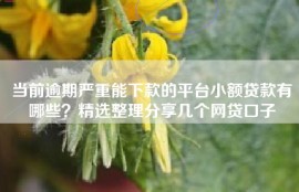 当前逾期严重能下款的平台小额贷款有哪些？精选整理分享几个网贷口子