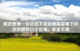 精选整理一份征信太花负债高容易下的贷款借款口子名单，拿走不谢