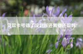 贷款卡号错了没到账还需要还款吗?