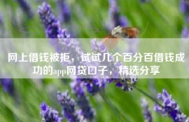 网上借钱被拒，试试几个百分百借钱成功的app网贷口子，精选分享