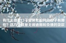有什么借款口子是好批的网贷口子有哪些？这几个就是无视逾期和负债的贷款