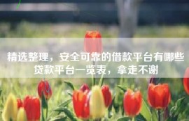 精选整理，安全可靠的借款平台有哪些贷款平台一览表，拿走不谢