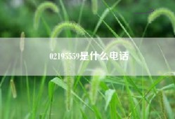 02195559是什么电话