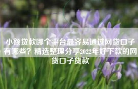 小额贷款哪个平台最容易通过网贷口子有哪些？精选整理分享2022年好下款的网贷口子贷款