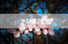 那个网贷下款快