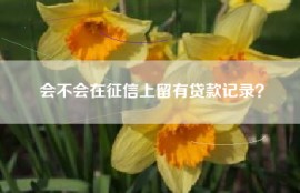 会不会在征信上留有贷款记录？