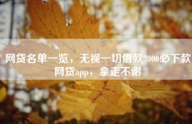 网贷名单一览，无视一切借款3000必下款网贷app，拿走不谢