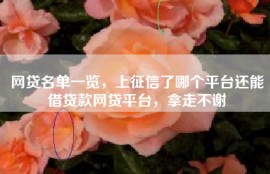 网贷名单一览，上征信了哪个平台还能借贷款网贷平台，拿走不谢