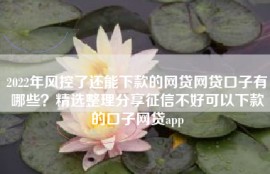 2022年风控了还能下款的网贷网贷口子有哪些？精选整理分享征信不好可以下款的口子网贷app
