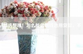 精选整理！怎么能借到钱急用贷款，不容错过