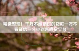 精选整理！千万不能错过的贷款一万不看征信三分钟到账网贷平台