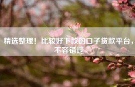 精选整理！比较好下款的口子贷款平台，不容错过