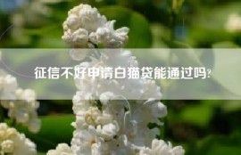 征信不好申请白猫贷能通过吗?