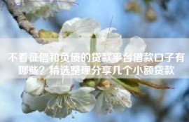 不看征信和负债的贷款平台借款口子有哪些？精选整理分享几个小额贷款