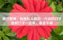 精选整理，快速私人借款一万块的口子借款口子一览表，拿走不谢