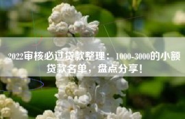 2022审核必过贷款整理：1000-3000的小额贷款名单，盘点分享！