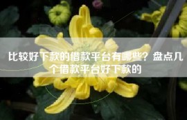 比较好下款的借款平台有哪些？盘点几个借款平台好下款的